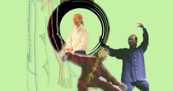 E-book Mapping the science of Qigong and Tai Chi