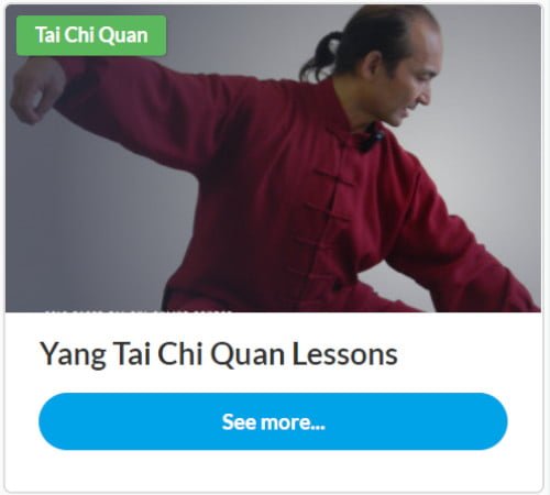 train tai chi online